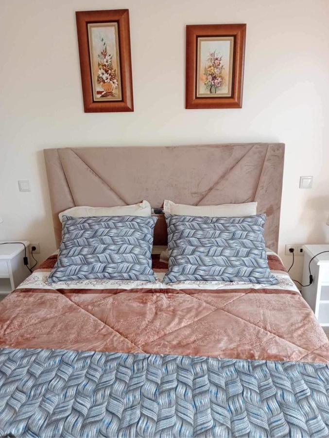 Hostel A Fonte Estarreja Zewnętrze zdjęcie
